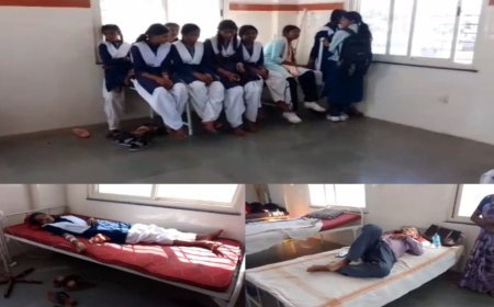 मध्य प्रदेश के मंडला में हाईस्कूल पर मधुमक्खियों का हमला, 15 बच्चे और स्टाफ घायल