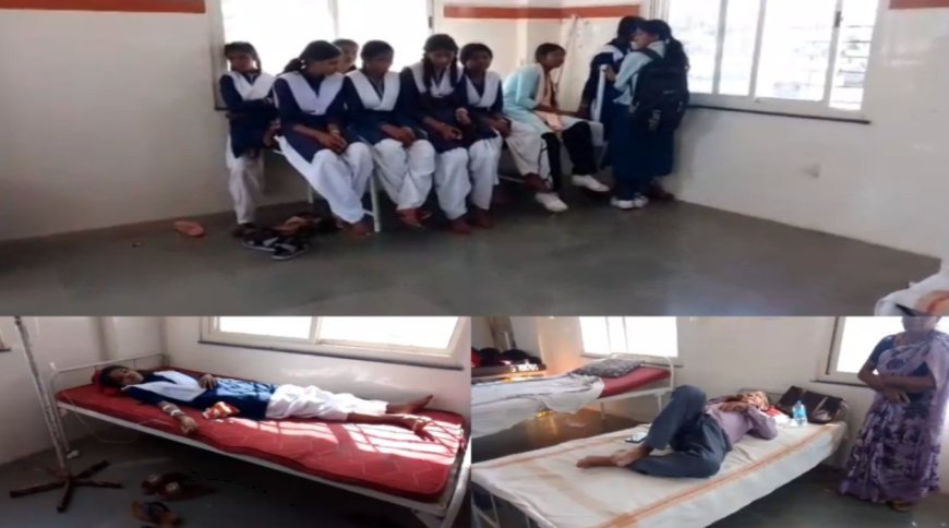 मध्य प्रदेश के मंडला में हाईस्कूल पर मधुमक्खियों का हमला, 15 बच्चे और स्टाफ घायल